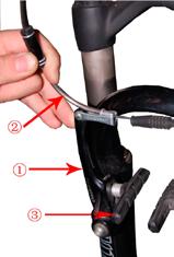 Wcisnąć mocno manetkę hamulca i umieścić fajkę przewodu hamulca w ramieniu hamulca V brake. 5.