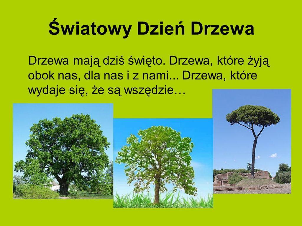 postaw proekologicznych - Zapoznanie z tematyką dotyczącą ochrony drzew - Zachęcanie do zaangażowaniu się w działania na rzecz