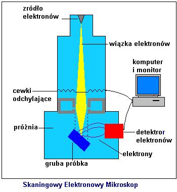Budowa SEM [8][9][10] Główne elementy mikroskopu to: - Kolumna - Komora ze stolikiem i