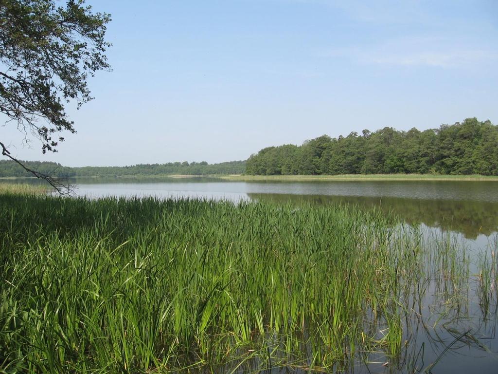 JEZIORO