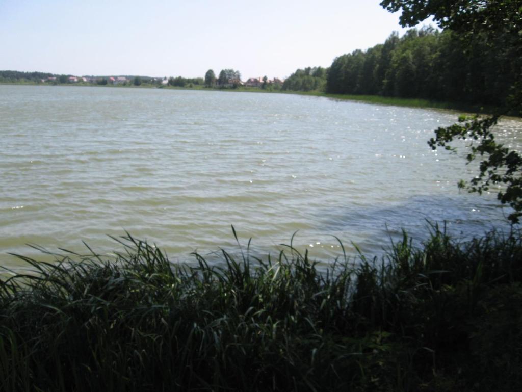JEZIORO PUZY