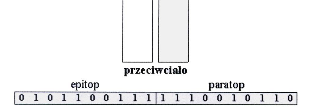 Sztuczny system immunologiczny B komórka - stopień dopasowania Poniższe równanie określa stopień dopasowania