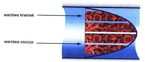 Przy małych prędkościach ścinania krwinki czerwone przy udziale fibrynogenu, tworzą agregaty.