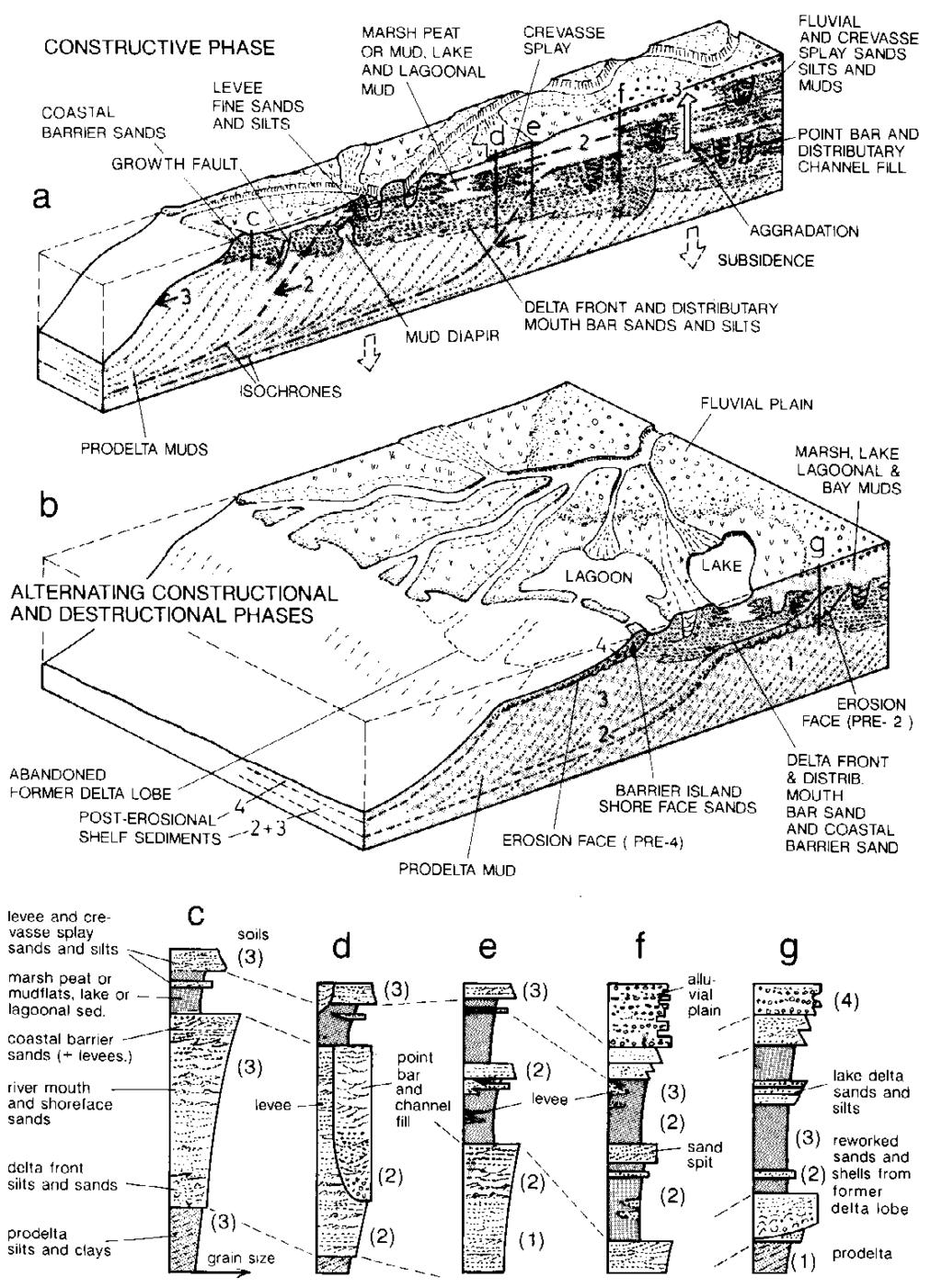 Modele rozwoju delt (Ryc. 15.8 15.10): 39 Ryc. 15.7.