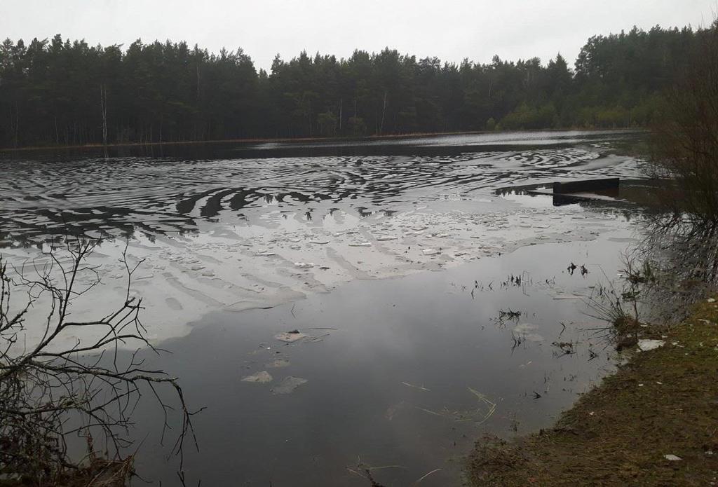 Zorganizowana została wycieczka terenowa (styczeń) dotycząca ochrony wód