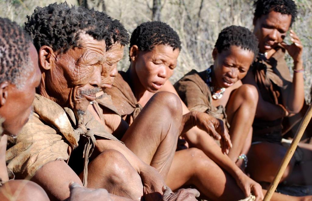 Plemię San One broad study of African genetic diversity completed in 2009 found that the San people were among the five populations with the highest measured levels of genetic diversity among the