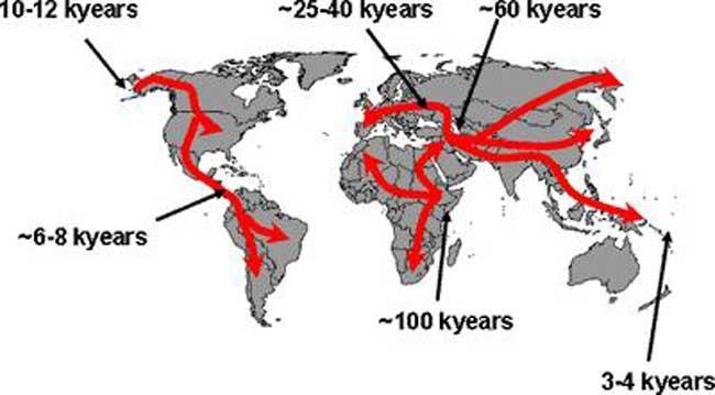 Migracje