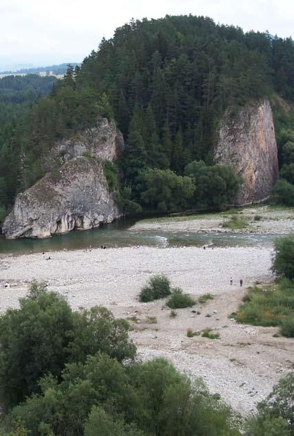 Białka, to także miejsce występowania kilku gatunków ryb w tym brzanki gatunku Natura 2000, choć jest ona spotykana raczej tylko w dolnym biegu tej rzeki.