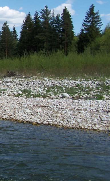 Obszar Natura 2000: PLH120024 Dolina Białki Z Wysokich Tatr wypływa Białka, początkowo niewielki potok, wartko płynący pomiędzy dużymi, granitowymi głazami, dalej po połączeniu z potokiem Jaworowym,