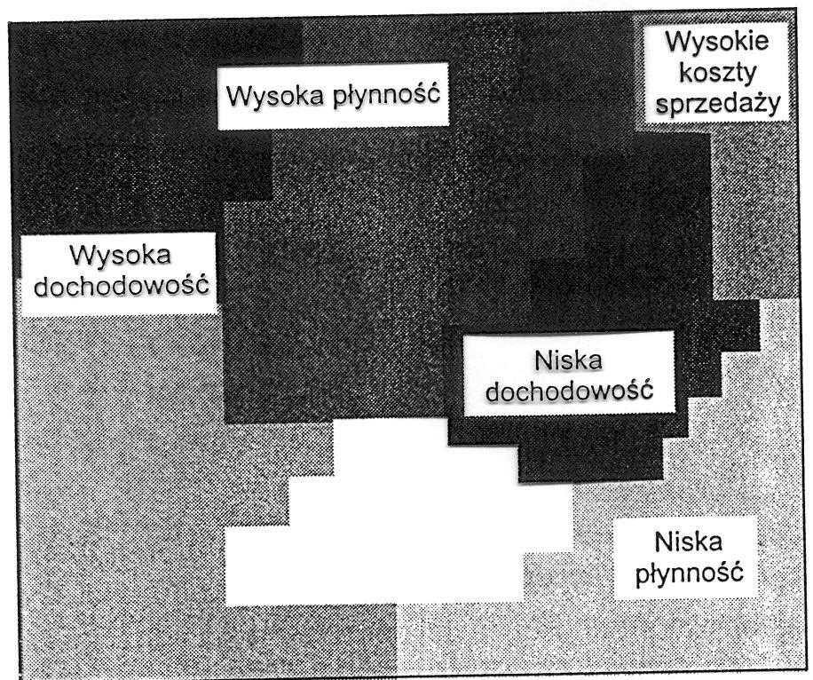 Mapa cech przedsiębiorstw