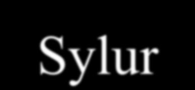 Sylur 443-416 mln lat temu O 2 14%