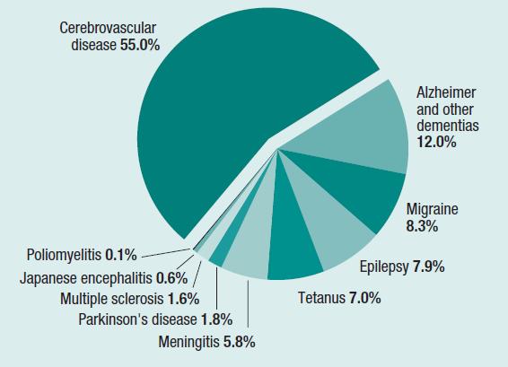 Utrata lat życia w pełnej sprawności Disability Adjusted Life Years