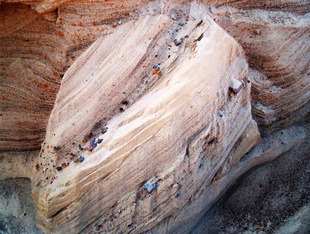 Kierunki paleoprądów pomierzone w osadach piaszczystych o warstwowaniach przekątnych (ryc.