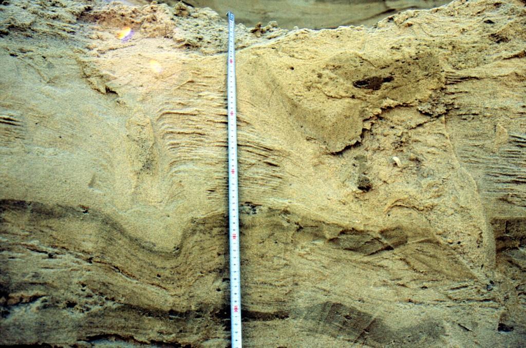 obecność deformacji w osadach piaszczystych. Są one rzadkością w badanej formie i nie spotykano ich dotąd w głębszych warstwach.