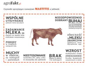 https://www. Czynniki sprzyjające rozwojowi mastitis u jałówek.