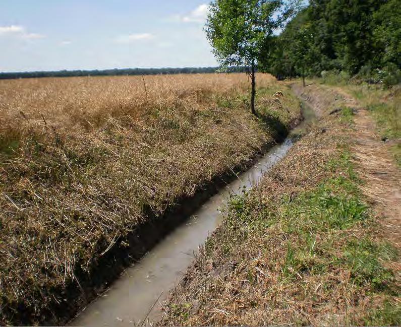 Rów po wykonaniu