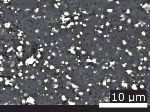 K. KONOPKA, P. KUCZY SKI, A. MIAZGA, D. RIEGERT Rys. 8. Obraz SEM mikrostruktury kompozytu Al 2 O 3 +15%Ni (Seria III); pola jasne - Ni, pola ciemne - Al 2 O 3. Fig. 8. SEM image of the microstructure of Al 2 O 3 +15%Ni composites (Series III); light elds - Ni, dark elds - Al 2 O 3.