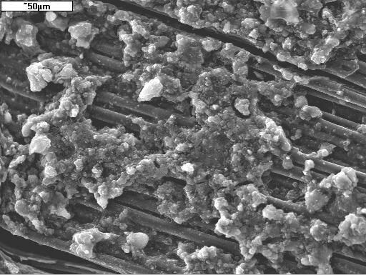 SEM image with EDS analysis of composite after 16 days