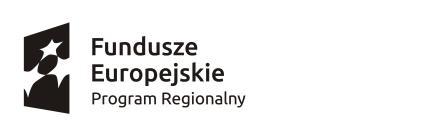 INFORMACJE O USŁUDZE ROZWOJOWEJ (KAŻDĄ USŁUGĘ DLA PODMIOTU/OSOBY