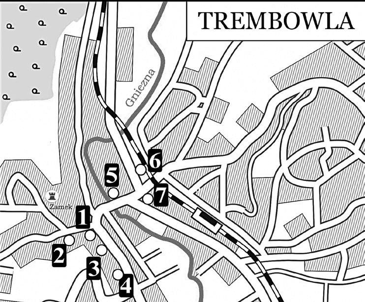 dniowiecznej Rusi: wojska książąt dzielnicowych, a także interweniujące oddziały polskie i węgierskie kilkakrotnie staczały bitwy w jej okolicy. Od lat czterdziestych XII w.