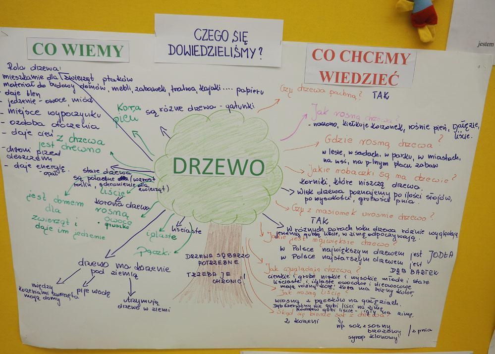 Podsumowaniem projektu jest aktualna siatka tematyczna, odzwierciedlająca wszystko to, czego