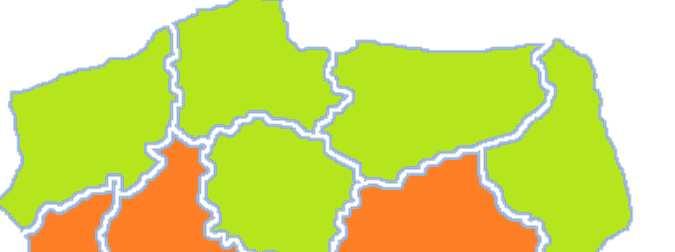 Sieci regionalne LGD w Polsce 100%