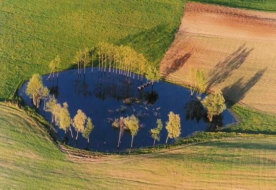 PŁASKIE BRZEGI PRZYKŁADY: DRUZNO, DĄBIE