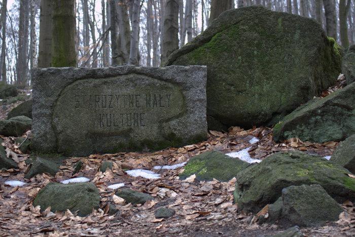 Dalej na szczyt idziemy szlakiem żółtym, czerwonym i archeologicznym z czarnym niedźwiedziem. Dotarliśmy do granitowych rzeźb. Najbardziej tutaj znanymi są niedźwiedzie nazywane misiami ślężańskimi.