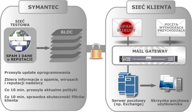 i domyślnymi ustawieniami. Poszczególne modele posiadają różne interfejsy sieciowe, dzięki czemu można je zastosować w sieciach o różnej szybkości transmisji.