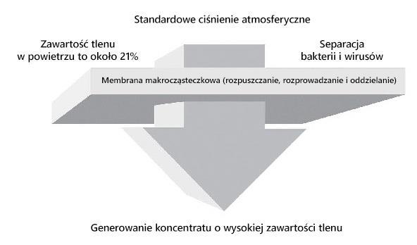 6 Technologia separacji membranowej Ponieważ prędkość oraz rozpuszczalność przy penetracji cząstek w membranie jest różna, technologia ta pozwala z łatwością oddzielać od siebie cząsteczki tlenu i