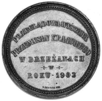 II 100.- *771. Jan D ugosz 400-lecie Êmierci, 1880, sygn. W.