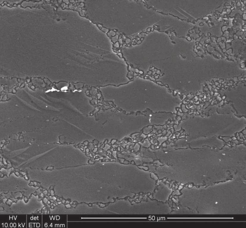 obszarze pasm poślizgu; TEM Fig. 11. Microstructure of AZ31 alloy sample after deformation at 200 C and rate dε/dt = 0.