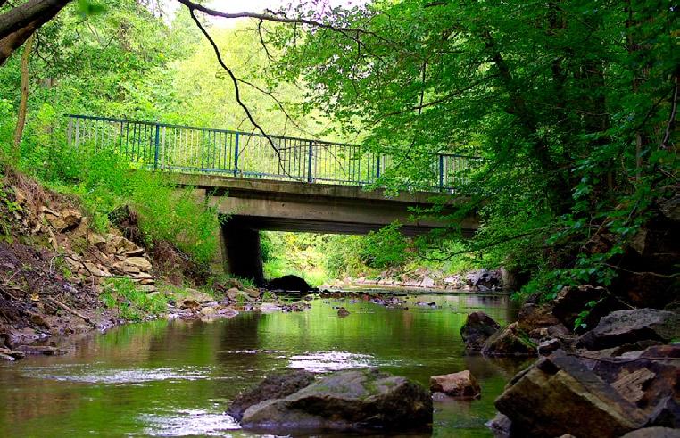 The bridge over the river Kwisa in Ławszowa, the site of five bat species. (Photo by T. Gottfried). Fot. 2.