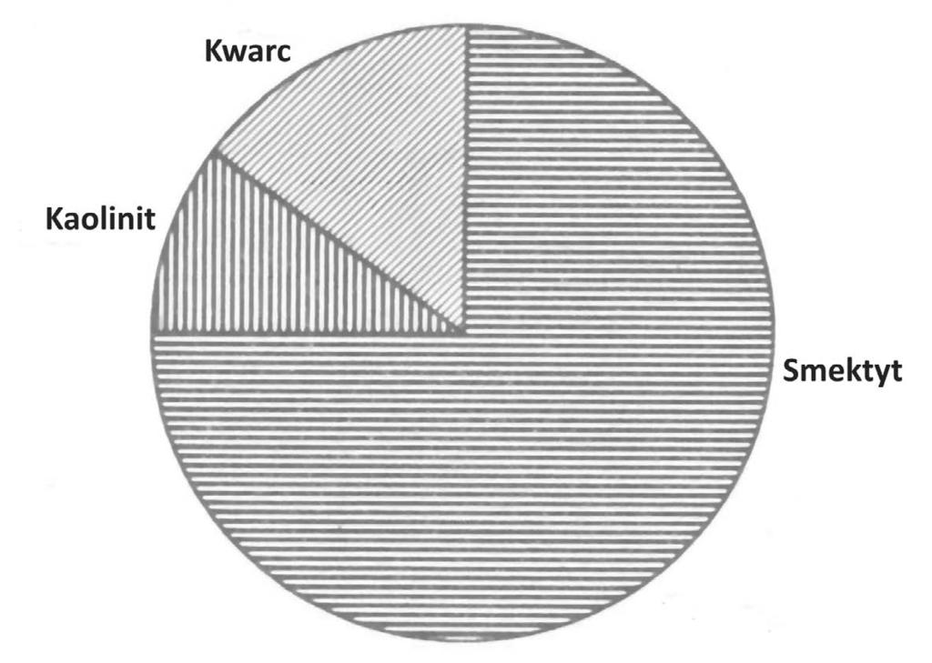 84 Badania K. Górniak i in. (1999) oraz K. Bahranowskiego i in. (1999) wykazały, że w składzie mineralnym tych iłów dominują smektyt i kaolinit (rys. 26).