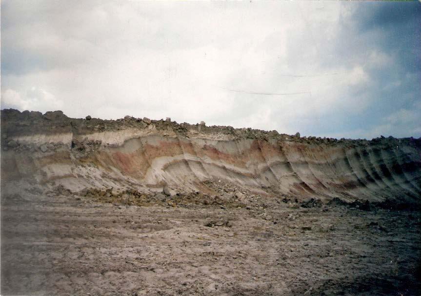 85 Badania E. Majer (2005) wykazały, że iły beidellitowe z Bełchatowa należą do kopalin bardzo spoistych. Wśród minerałów ilastych dominuje beidellit (20 48%). Kaolinit obecny jest w ilości 13 25%.