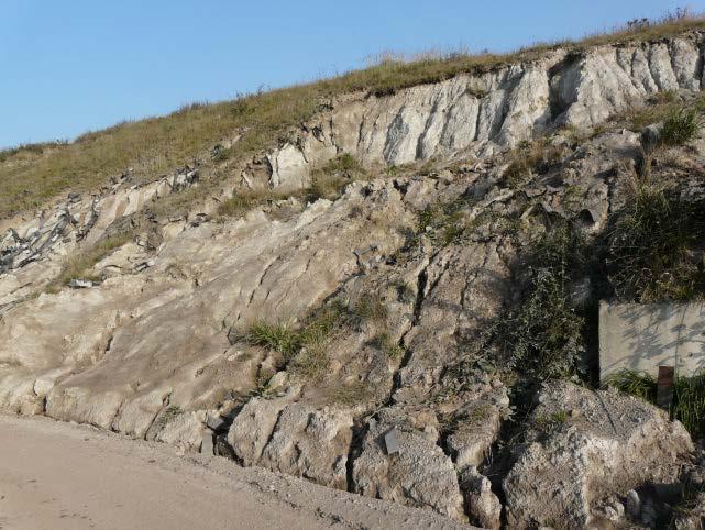 The weathered kaolines flat in the safety pillar Mine (P. Bożęcki photo) Zwietrzelina granitoidowa to iły o cechach kaolinów zarówno pierwotnych, jak i redeponowanych.