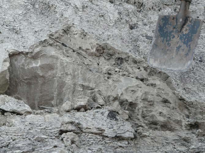Wysokoglinowe odmiany kopalin występują zwłaszcza w zwietrzelinach bazaltowych. Minerały mieszanopakietowe z udziałem struktur smektytowych gromadzą się z kolei we frakcji najdrobniejszej.