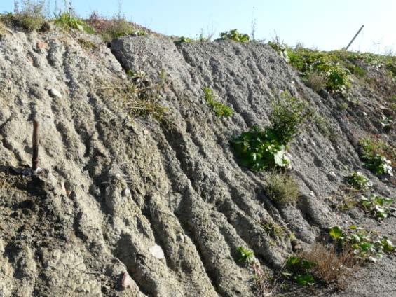 The boulder clay in overburden (P.