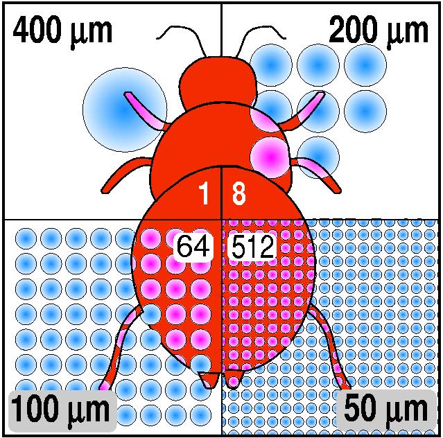 XR-03 1,8 bar 5,1 km/h 200 l/ha Wielkość kropel Pokrycie AI-025 2,9