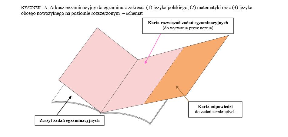 arkusze