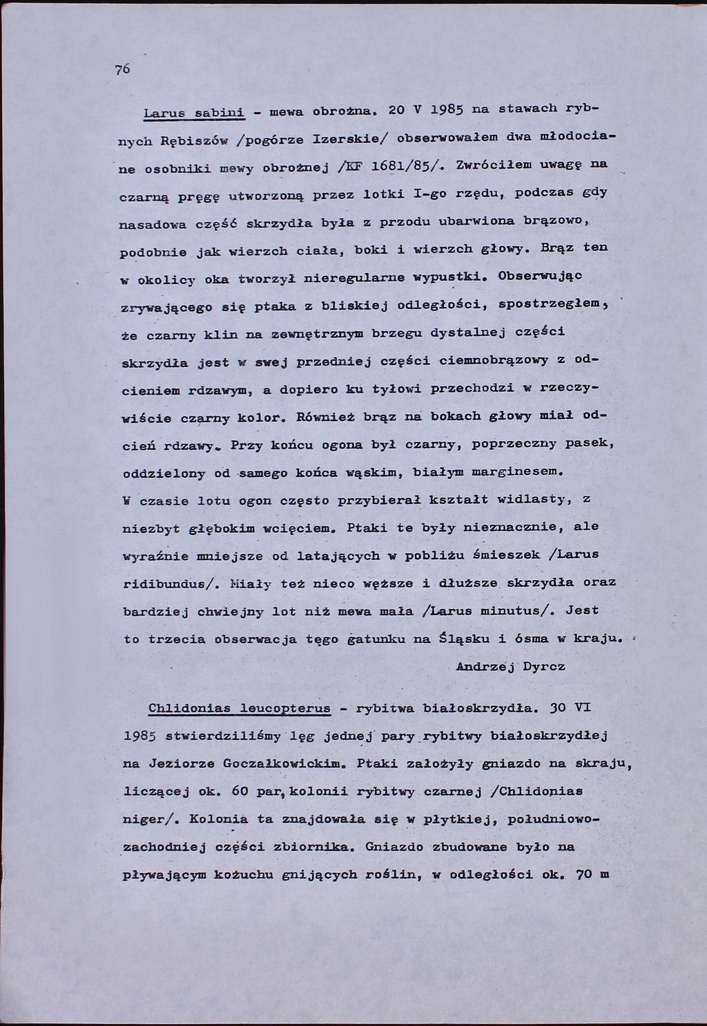 Larus sabini - mewa obrożna. 20 V 1985 na stawach rybnych Rębiszów /pogórze Izerskie/ obserwowałem dwa młodociane osobniki mewy obrożnej /EF 1681/85/.