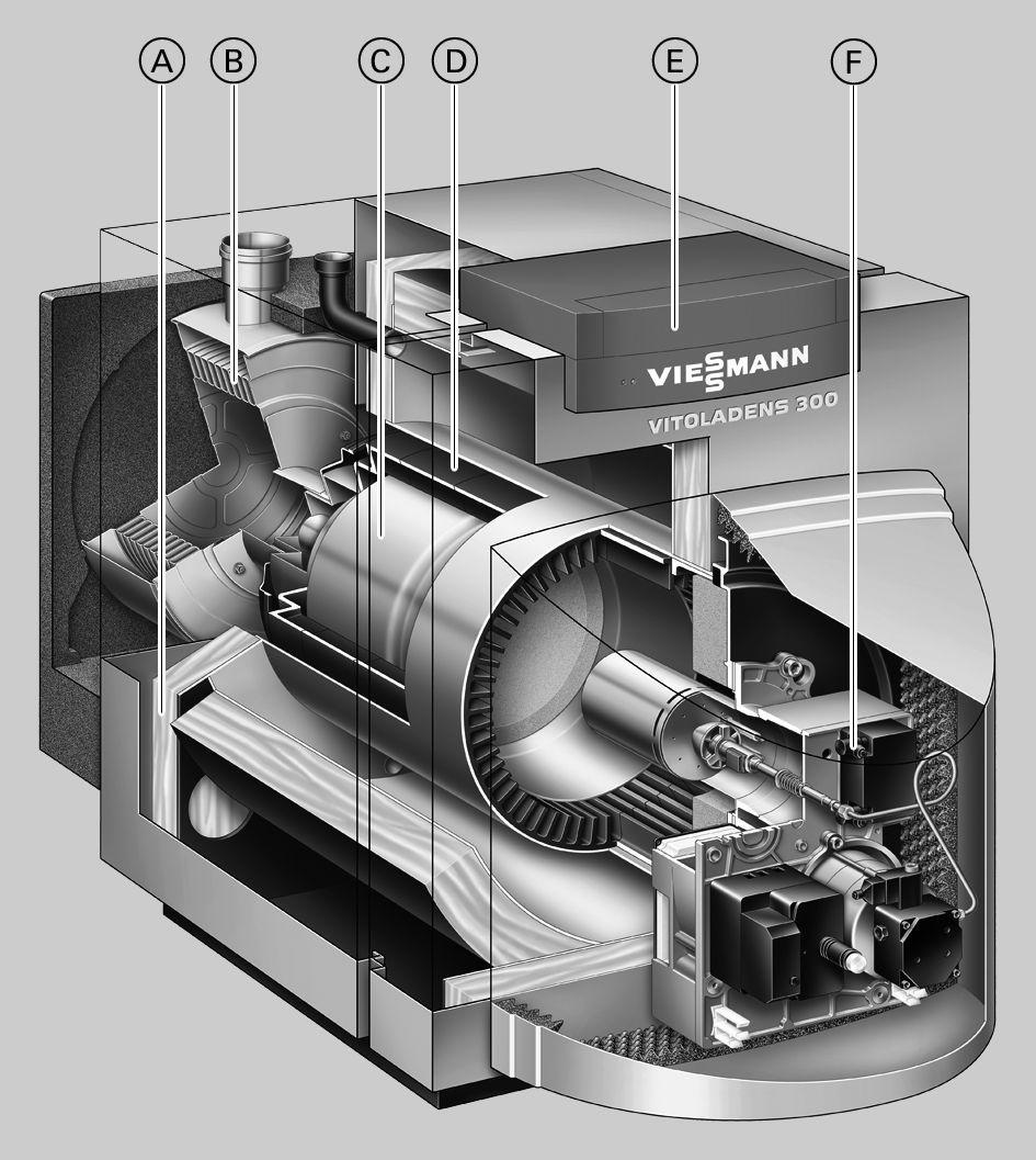 Vitoladens 300-T 4.