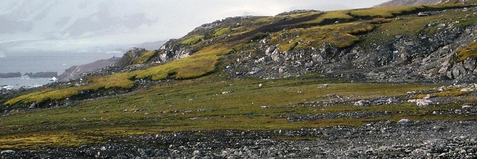 interrelated arctic-alpine organisms (2012 2016) Ewolucja i historyczna dynamika zasięgów lądowej bioty