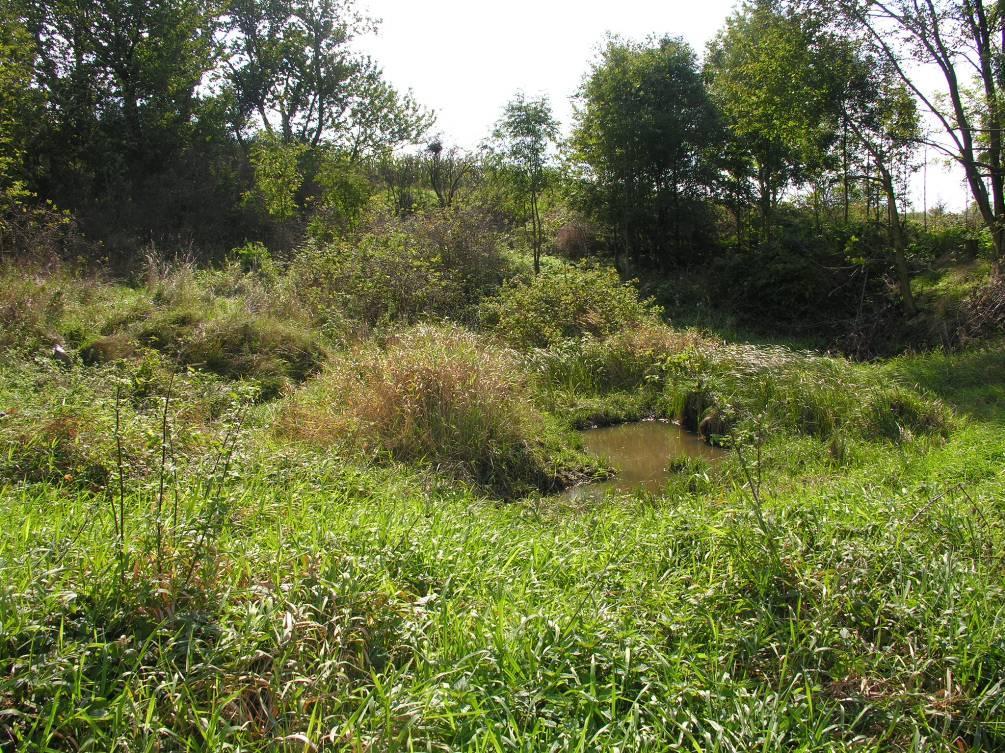 drogi Ząbkowice-Dzierżoniów.