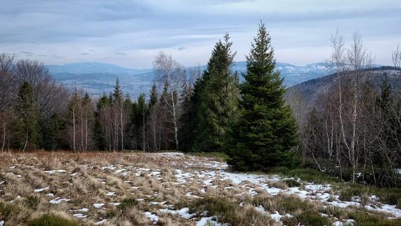 Z polany rozciągają się interesujące widoki na Beskid Śląski od Skrzycznego po Glinne, oraz piękna panorama Kotliny Żywieckiej i