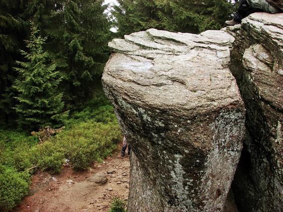 otaczał zdrowy, gęsty i wysoki las świerkowy.