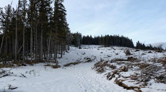 .. Ostatni odcinek trasy oferuje niezapomniane panoramy na wszystkie trzy pasam Beskidzkie: Mały, Żywiecki, oraz Śląski, kotlinę i zalew Żywiecki, oraz charakterystyczny masyw Babiej