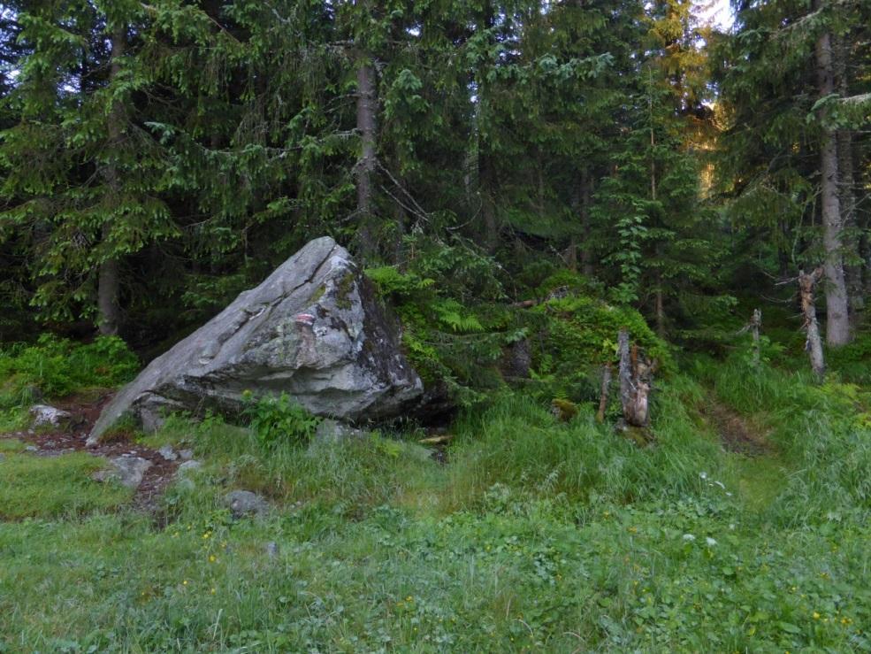 Lista roślin naczyniowych stwierdzonych na stanowisku gatunku Calamagrostis villosa, Deschampsia