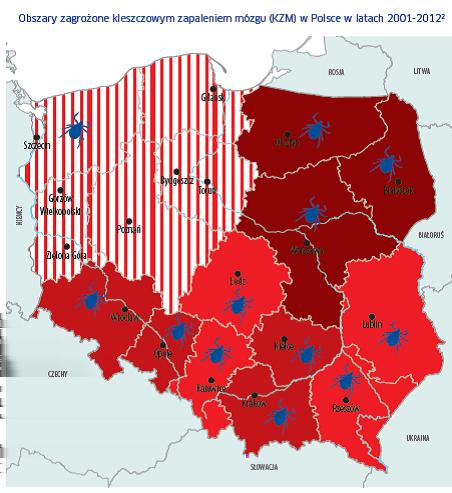 Wiele ciekawych informacji dotyczących zagrożeń wywołanych przez kleszcze i sposobach profilaktyki można znaleźć na stronie internetowej: szczepkleszcz.