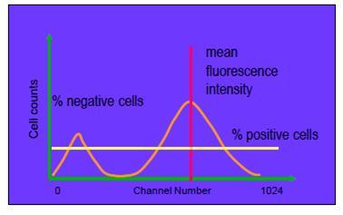Analiza sygnału % komórek negatywnych vs % komórek pozytywnych Gęstość
